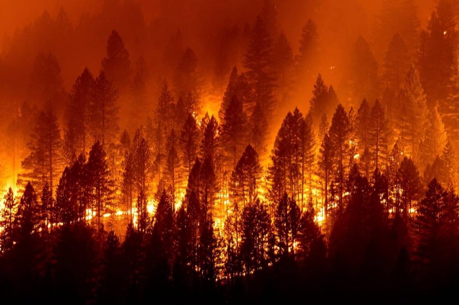 California Wildfire Season — And How Its Getting Worse