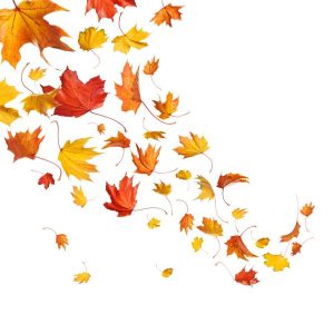 Fall Fashion and Trends!