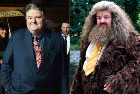 Beloved Hagrid from Harry Potter Robbie Coltrane dies at 72