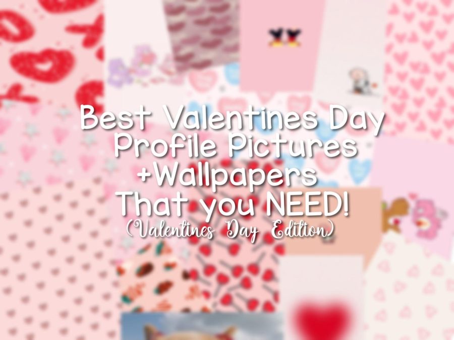 Best Valentines Day Profile Pictures and Wallpapers You NEED!