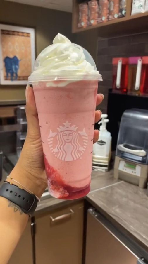 Best Starbucks Drinks That YOU Should Try!