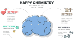 How to be Happy: a Guide