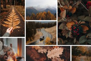 How to Romanticize Autumn