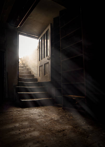 Dark and creepy wooden cellar door open at bottom of old stone stairs bright sun light rays shining through on floor making shadows and scary sinister abandoned basement room underground