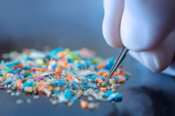 You’re Full Of It; The Problems of Microplastics.