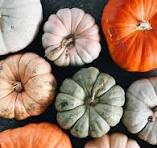 It’s Officially October- Here’s 4 Best Activities You Can Do This Fall!