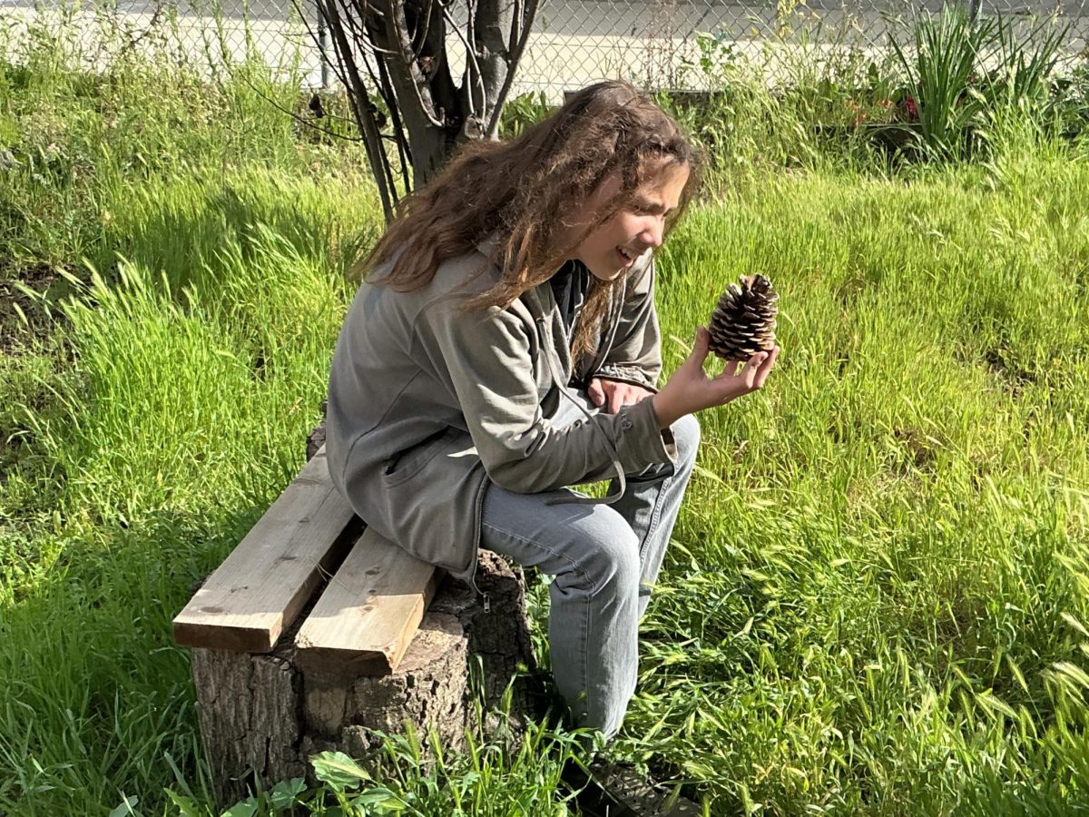 Spring Planting: An Interview With Mrs.Calverly